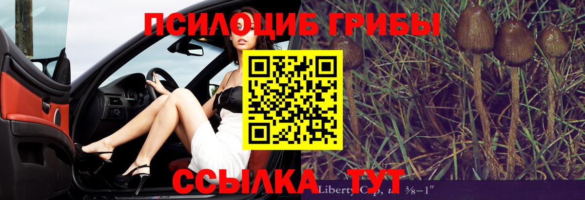 Ярославль  Псилоцибиновые грибы Psilocybine cubensis  Вход с VPN 